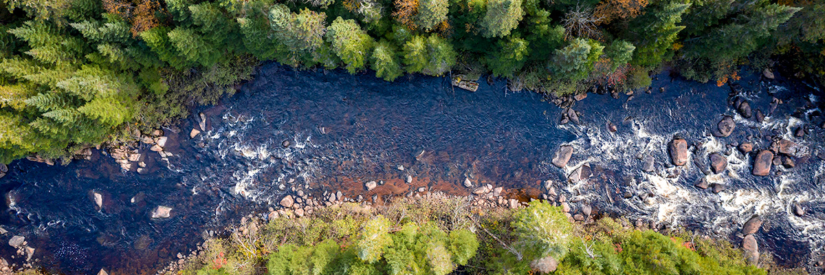 River Root Counseling